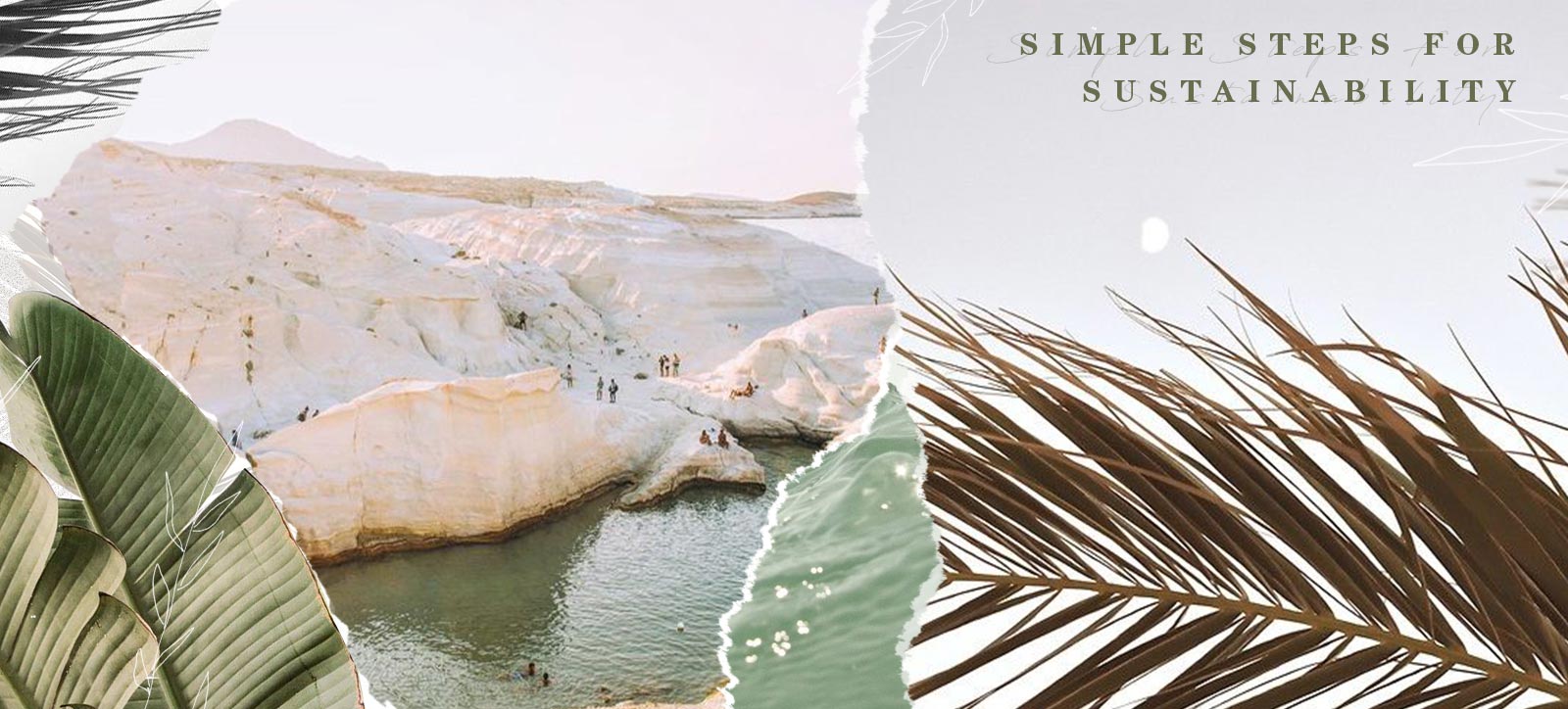 Simple Steps For Sustainability