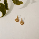 18k Gold Plated Shore Discovery Earrings Gold