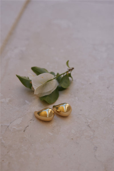 18k Goldplated Iconic Moment Earrings