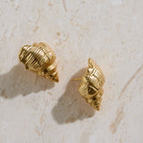 18K Gold Plated Find Your Shell Earrings