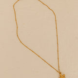 18K Gold Plated Ocean Find Necklace Gold