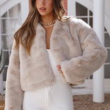 Day By Day Faux Fur Cropped Jacket Beige