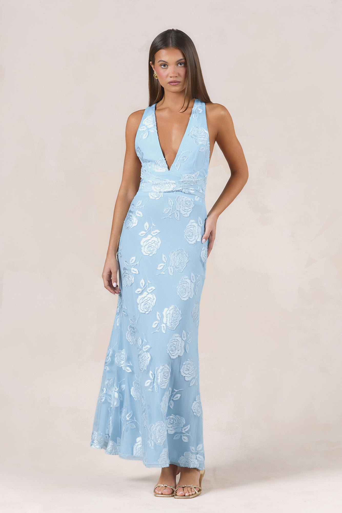 Rose Rendezvous Maxi Dress Blue