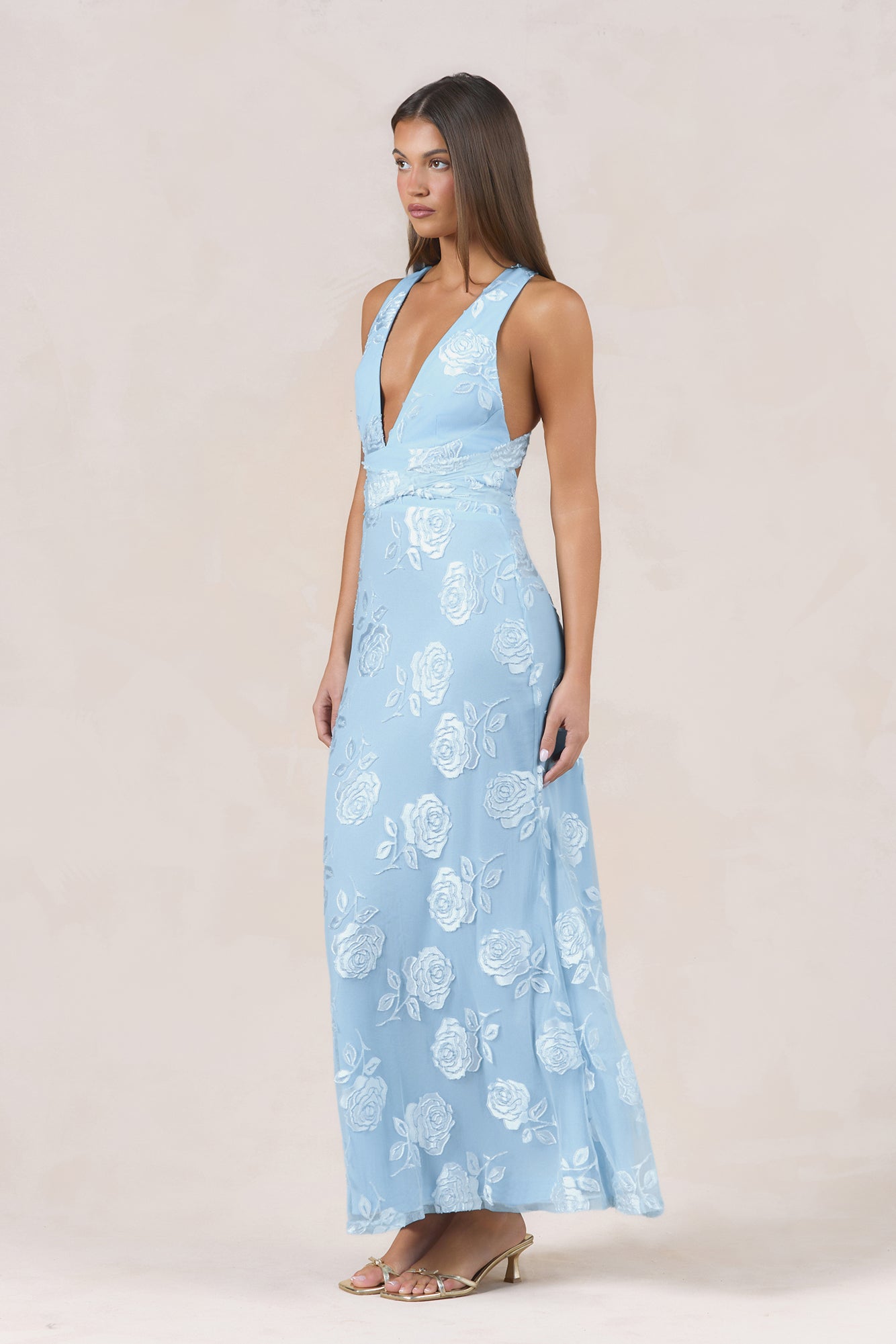 Rose Rendezvous Maxi Dress Blue
