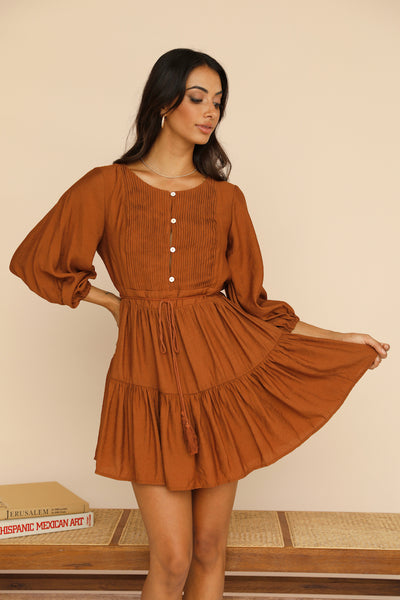 True Passions Dress Brown