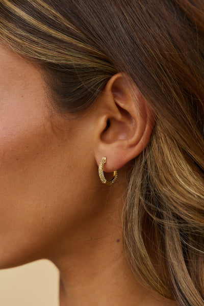 18k Splendid Shimmers Earrings Gold