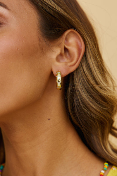 18k Gold Plated Aurelian Earrings